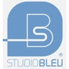 Stage bras droit - stratégie d'entreprise - studio bleu h/f (Stage)
